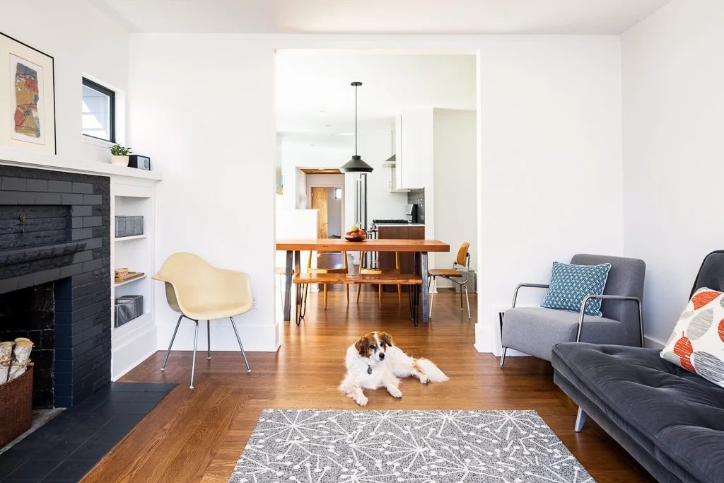 Renovating with Pets in Mind: Tips for Designing a Pet-Friendly Home
